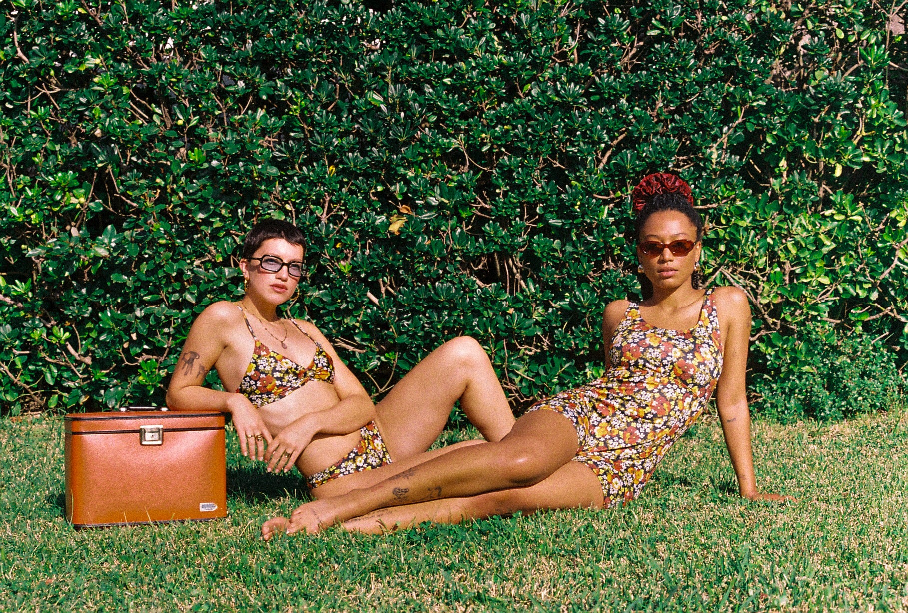 Dolphin Love Swim • Begona Bottom