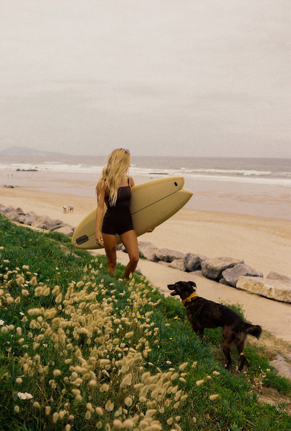 Dolphin Love Swim • One Piece Short Brown