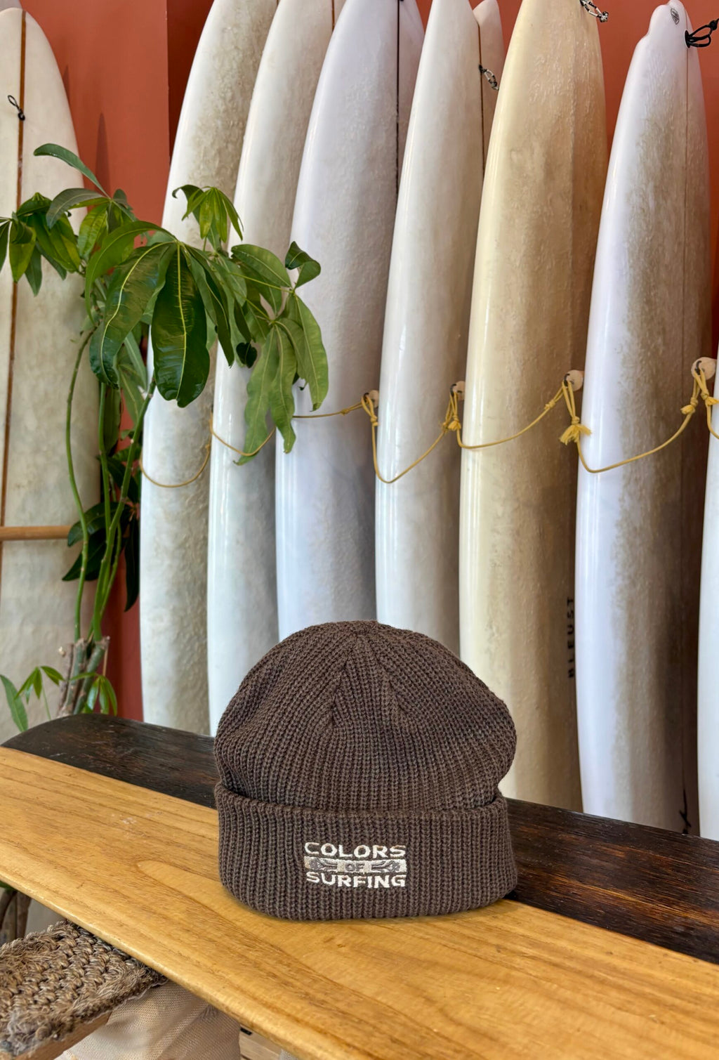 Colors Classic Beanie • Brown