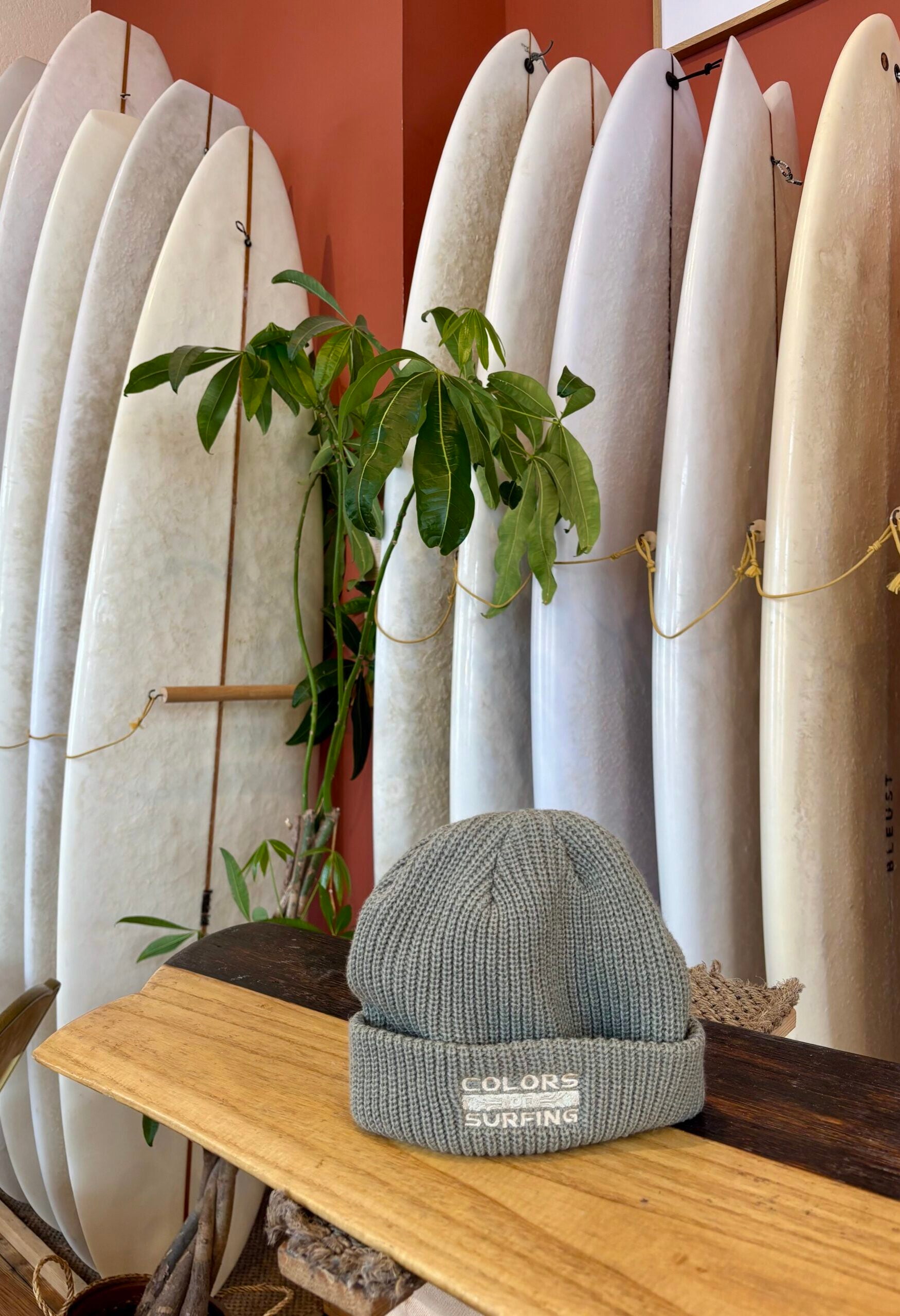 Colors Classic Beanie • Green